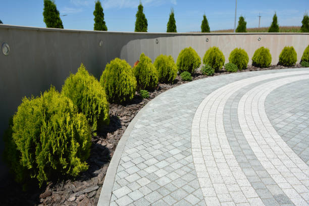 Best Commercial Driveway Paving in Andale, KS